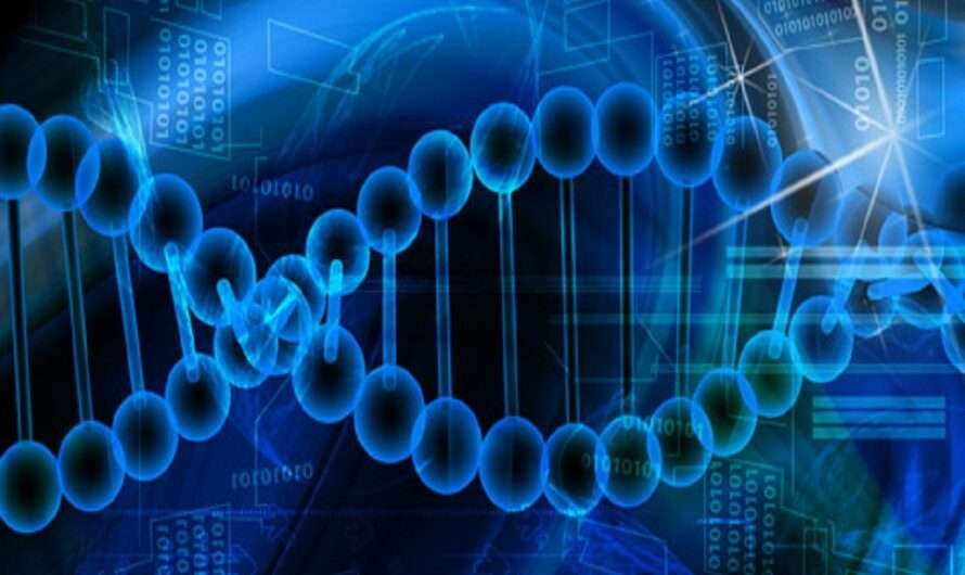 Bioinformatics Platforms Market Is Estimated To Witness High Growth Owing To Increasing Adoption of Bioinformatics Tools and Rising Research and Development Activities