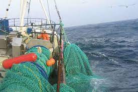 The Global Trawl Ropes And Nets Market Is Estimated To Be Valued At USD 341.3 Million