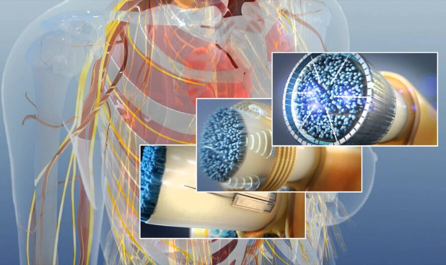 Bioelectronics Market: Rising Demand for Advanced Medical Devices Drives Market Growth