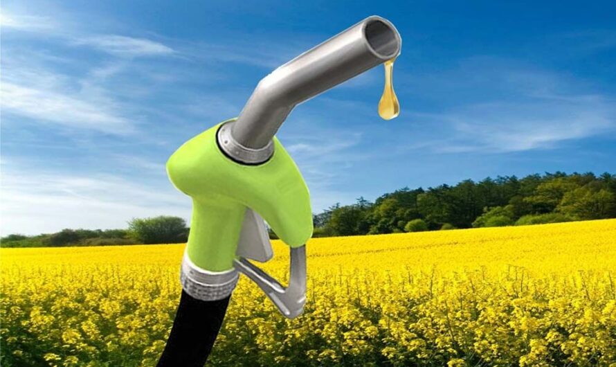 Biofuels Market Is Estimated To Witness High Growth Owing To Government Initiatives And Increasing Demand For Renewable Energy Sources