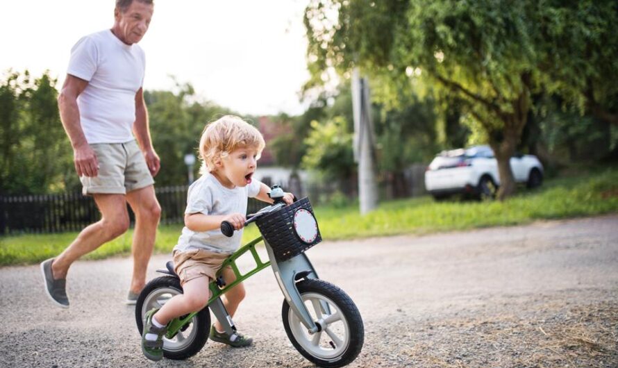 Kids Tricycles Market Is Estimated To Witness High Growth Owing To Rising Demand for Eco-Friendly Toys and Increasing Focus on Child Development