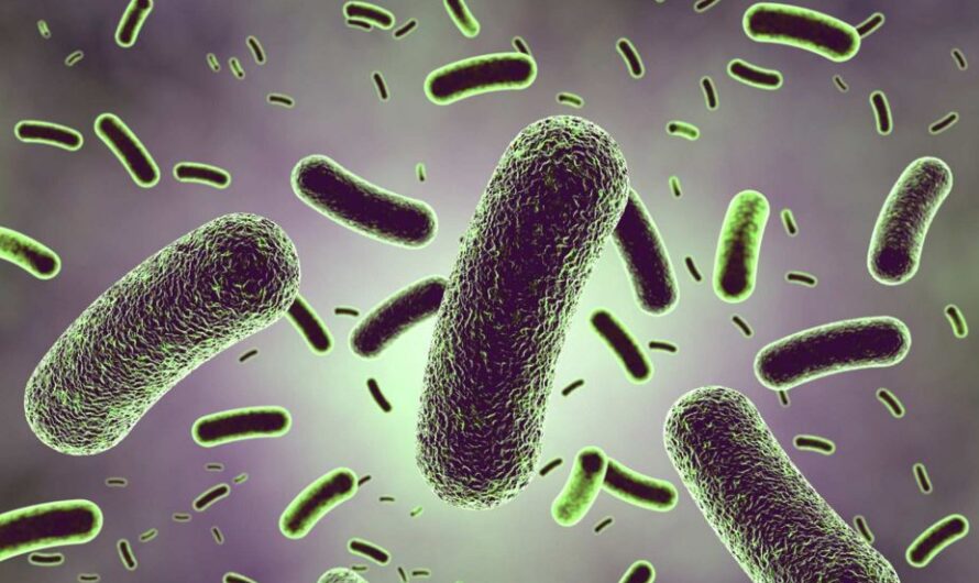 The Lactobacillus Acidophilus Probiotics Market is Estimated to Witness High Growth Owing to Increasing Demand for Digestive Health Supplements and Growing Awareness about the Benefits of Probiotics