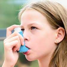 Respiratory Inhaler Market