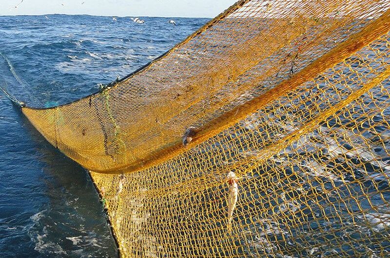 Future Prospects And Dynamics Of The Trawl Ropes And Nets Market