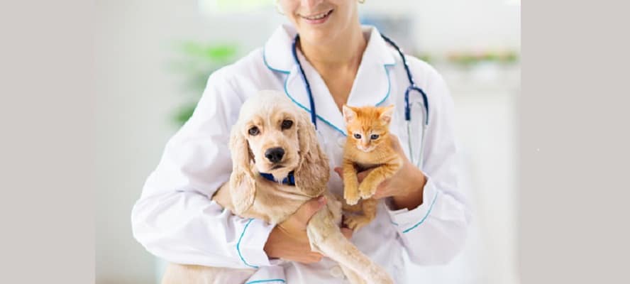 Veterinary Care Is The Largest Segment Driving The Growth Of Animal Healthcare Market
