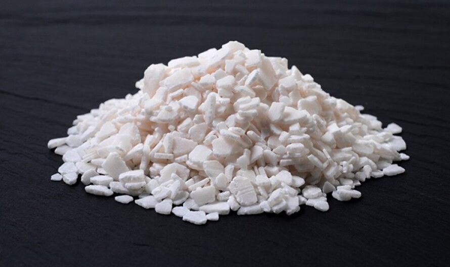 Calcium Hypophosphite is the fastest growing segment fueling the growth of Calcium Hypophosphite Market