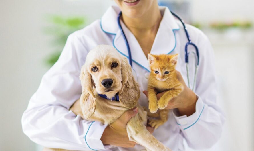 The Pet Insurance Market is Estimated to Witness High Growth Owing to Increasing Pet Adoption Rate and Growing Concerns for Pet Health