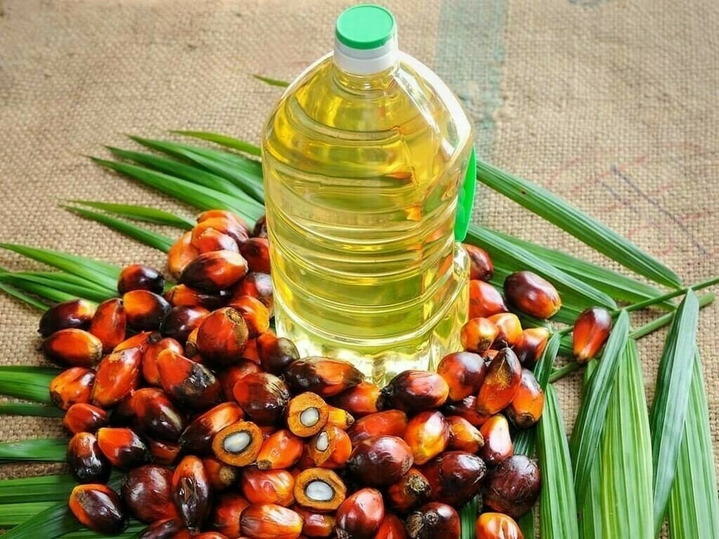 Soy Oil And Palm Oil Market