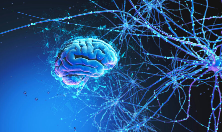 Spanish Researchers Establish Pioneering Biobank for Living Human Brain Tissue Samples