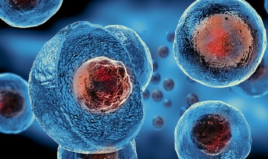 Digital Education is fastest growing segment fueling the growth of Stem Cell Therapy market