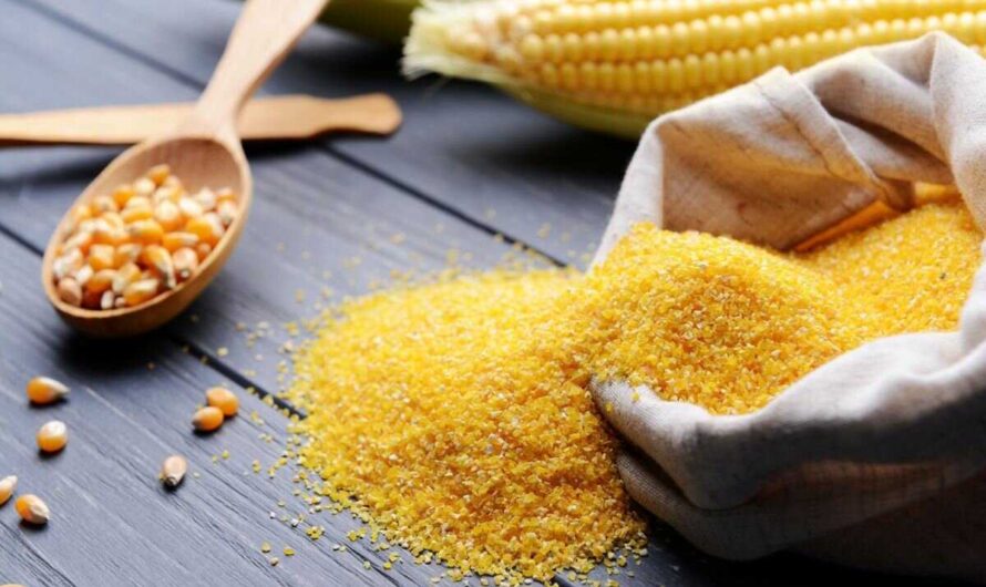 Whole Grits Segment is the largest segment driving the growth of corn grit market