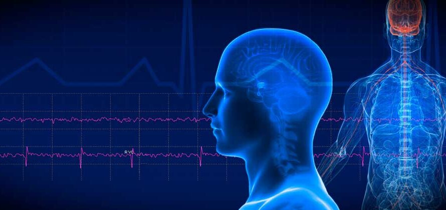 The global Neurology Monitoring Market is estimated to Propelled by increasing demand for neurodegenerative disease monitoring devices