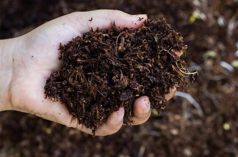 Organic Compost Is The Largest Segment Driving The Growth Of Organic Fertilizer Market