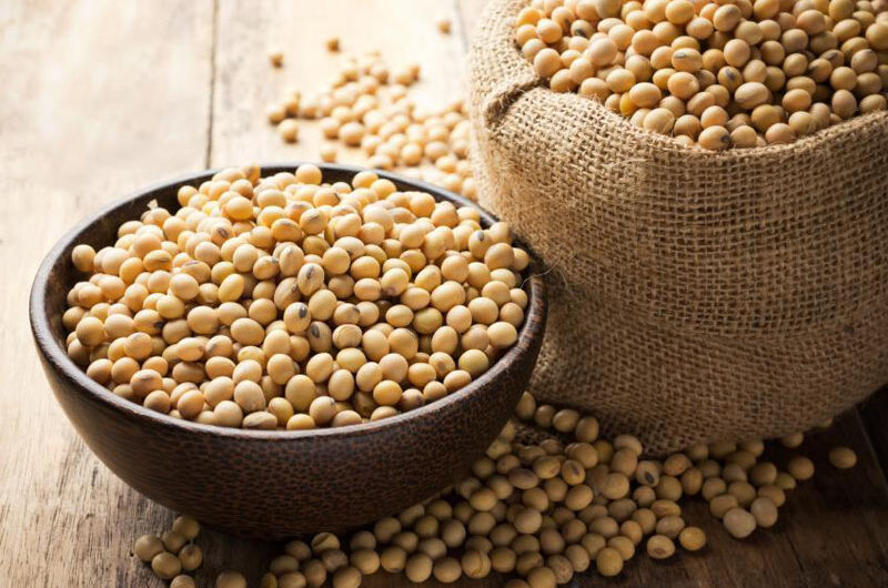 Soy Lecithin Market is Expected to be Flourished by Increasing Demand in Pharmaceutical Industry