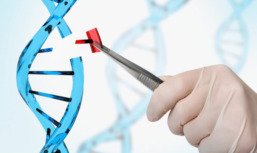 Genome Engineering Market is Expected to be Flourished by Next Generation Sequencing’s Influence