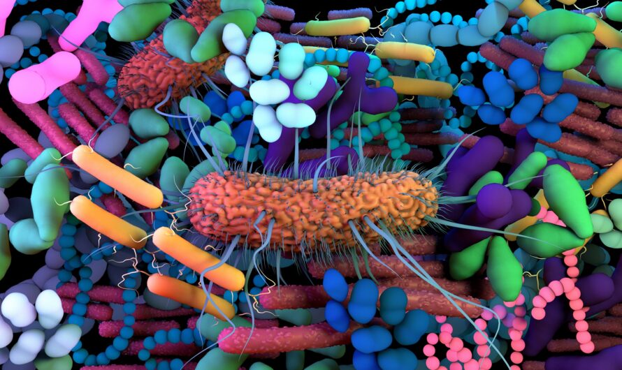 Human Microbiome Market Propelled by Advancing Research on Microbiome–Gut Health Interactions