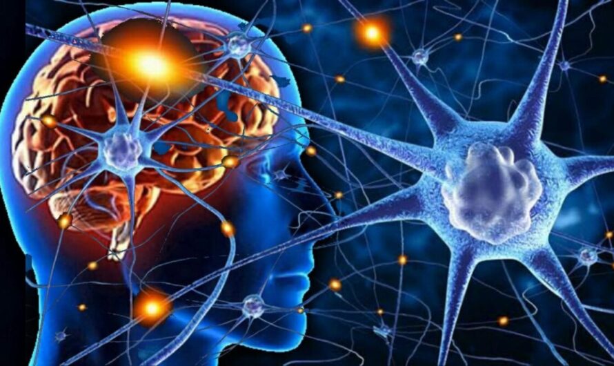 Neuroplasticity Market is Projected to Propelled by Growing Awareness about the benefits of neuroplasticity