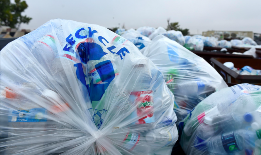 The Global Plastic Waste Management Market Driven by Environmental Sustainability Concerns