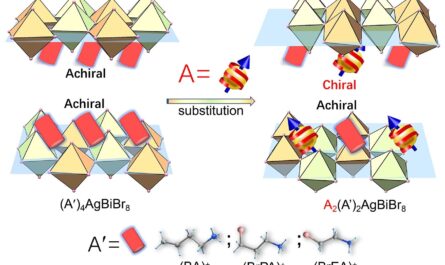 Rationally Designed Enantiomeric Lead-Free Double Perovskites with Achiral-Chiral Cation Intercalation