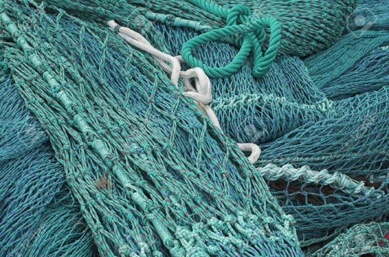 Trawl Ropes and Nets Market is Expected to be Flourished by Increasing Crab and Shrimp Cultivation