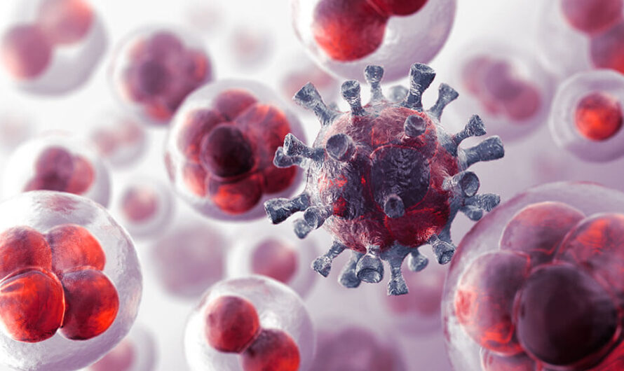 The Rapidly Growing Immuno-Oncology Assays Market is Revolutionizing Cancer Treatment