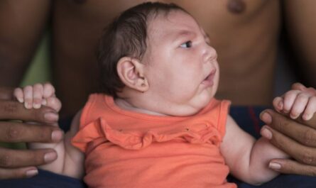 Research Reveals How Zika Virus Replicates and Transmits from Mother to Fetus