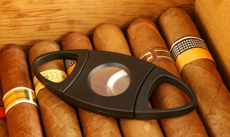 The Global Cigar Cutter Market is driven by increasing smoking habits