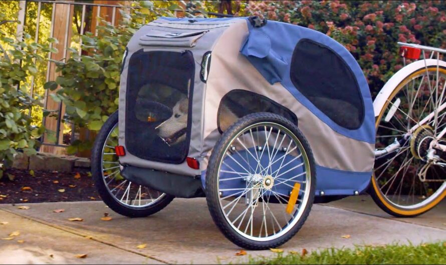Emerging Popularity of Dog Bicycle Trailer Market is Driving the Market Trends