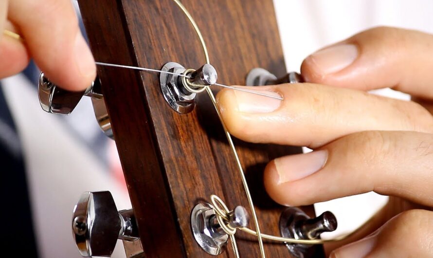 The Global Electric and Acoustic Guitar Strings Market is projected to driven by customization and innovation