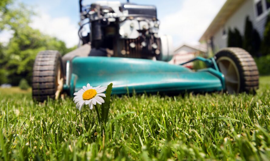 Lawn & Garden Equipment: Essential Tools for Your Outdoor Spaces