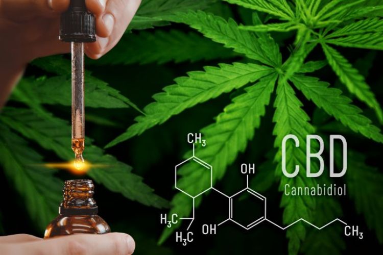 Cannabidiol Consumer Health Market Witnesses High Growth owing to Rising Awareness about Medical Benefits of CBD Products