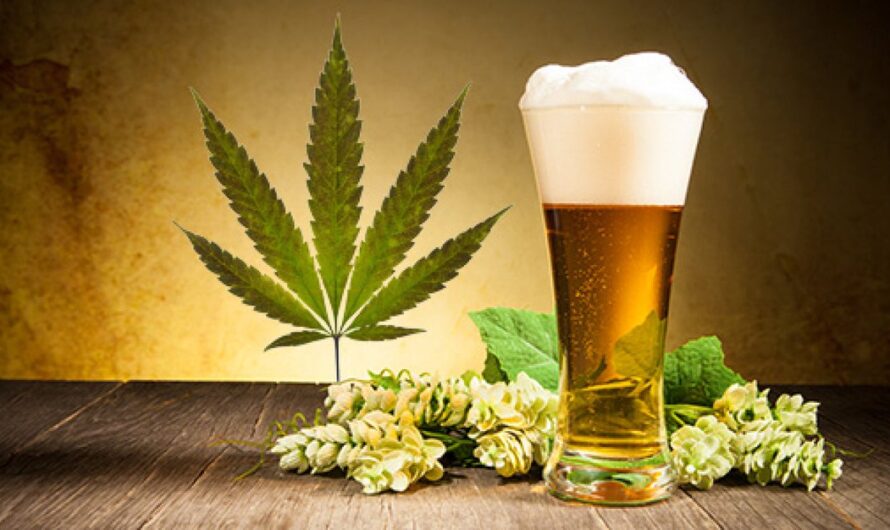 Cannabis Beverage Market Estimated to Witness High Growth Owing to Increasing Legalization of Cannabis
