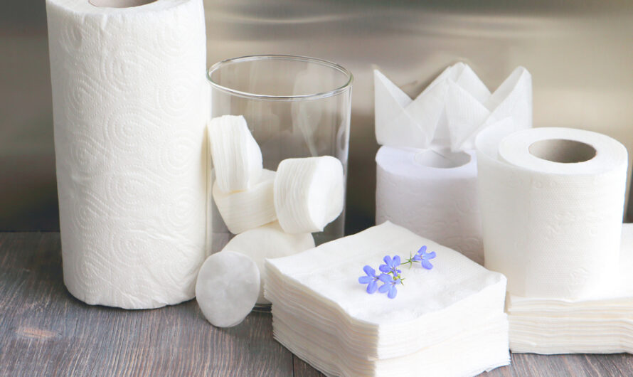 Europe Tissue and Hygiene Paper Market is Estimated to Witness High Growth Owing to Increasing Consumer Awareness About Hygiene Products