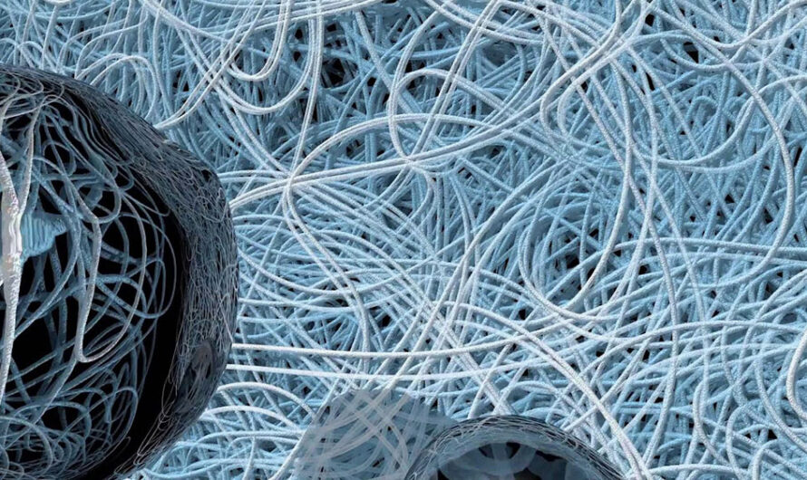 Nanofiber Market Witnesses High Growth Owing to Wide Range of End-use Applications