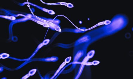 Notion of Declining Sperm Counts