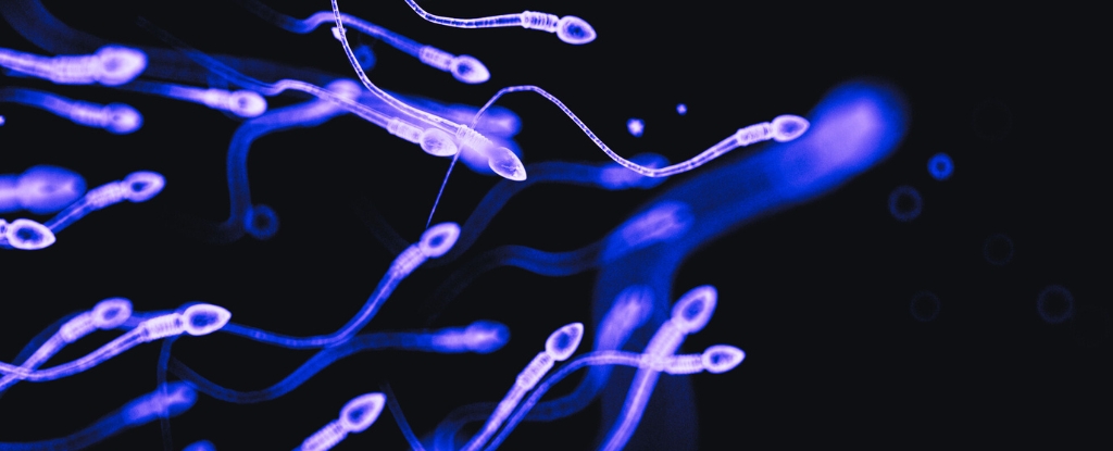 Notion of Declining Sperm Counts