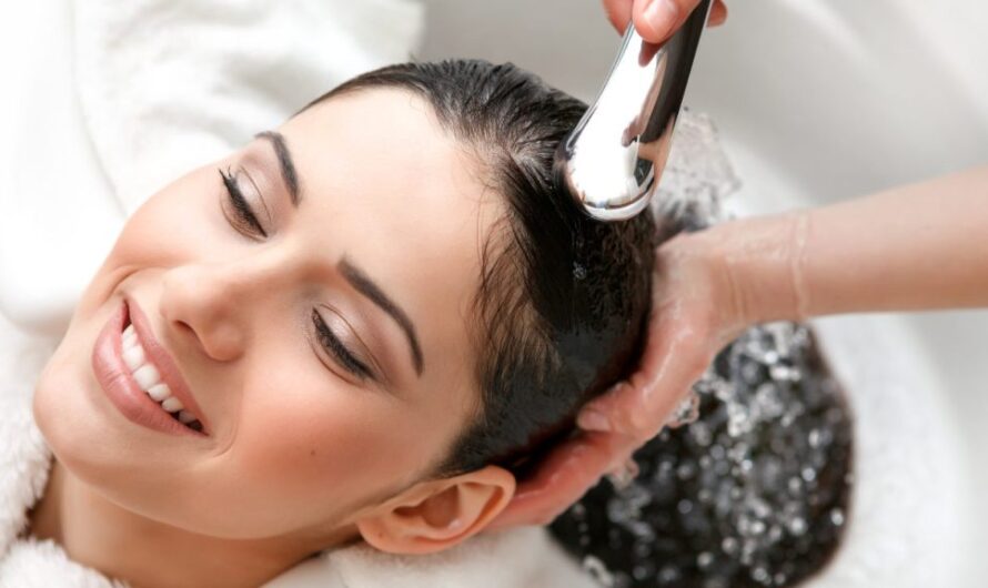 Professional Hair Care Market is Estimated to Witness High Growth Owing to Advancements in Hair Care Products