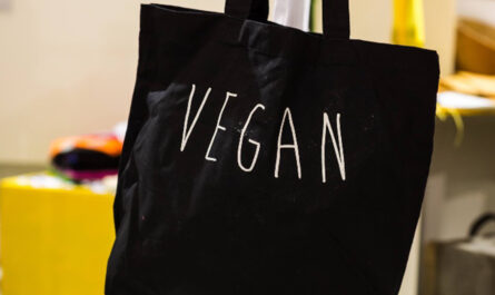 Vegan Fashion Market
