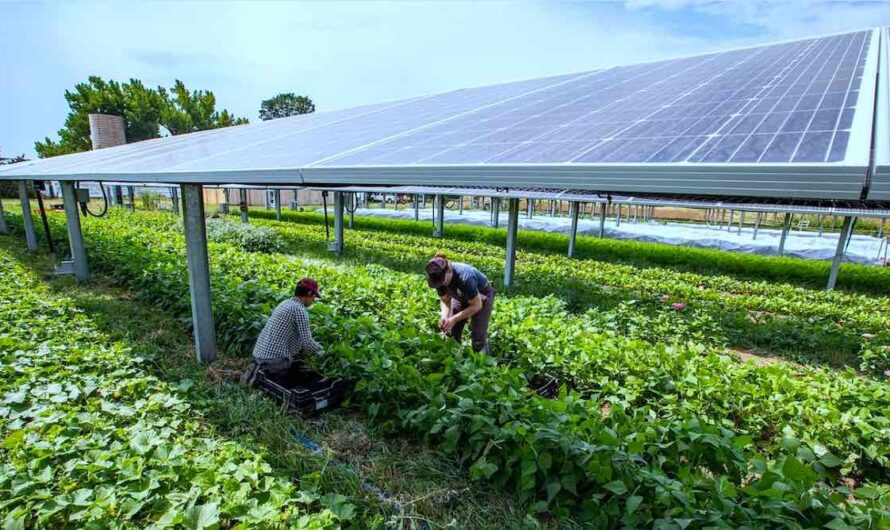 Agrivoltaics Market Is Estimated To Witness High Growth Owing To Advancements In Solar Tracker Technology