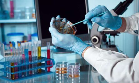 Genetic Toxicology Testing Market