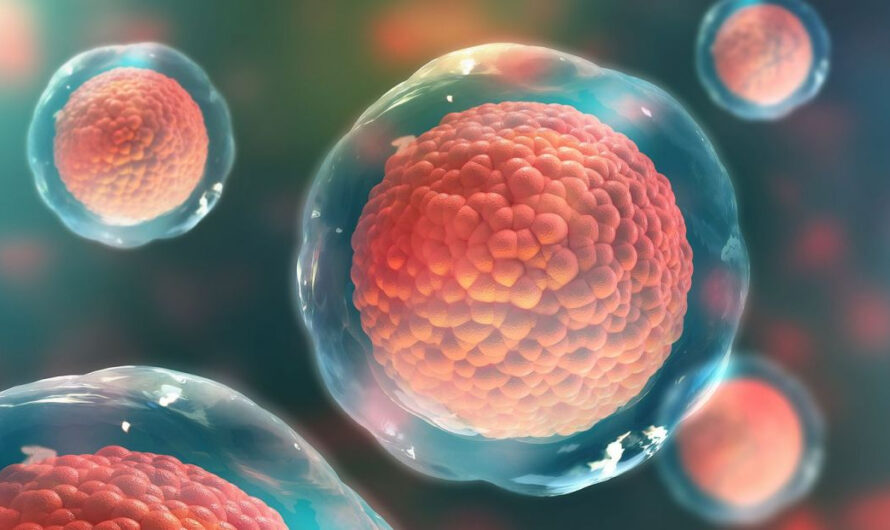 Stem Cells Market is Estimated to Witness High Growth Owing to Rise in Investments for R&D Projects